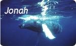 Jonah150